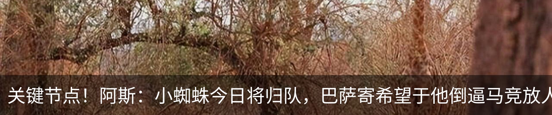 内页banner