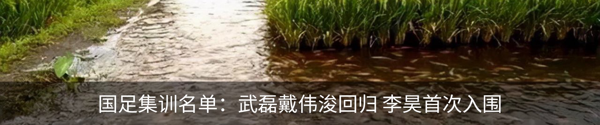 内页banner