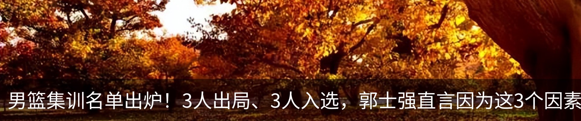 内页banner