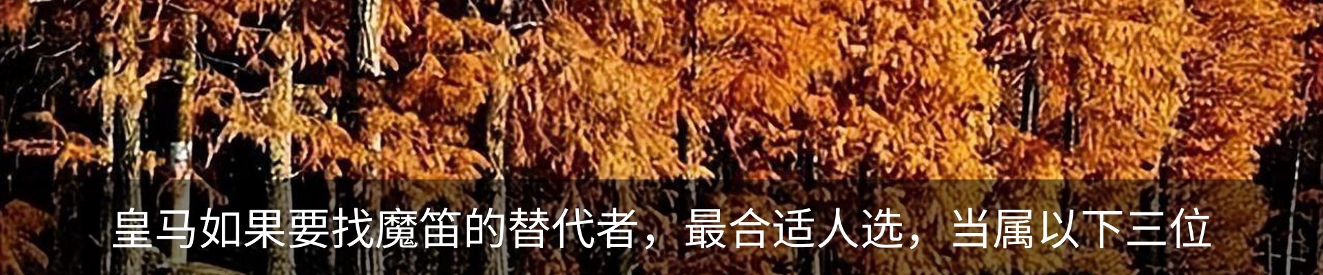 内页banner