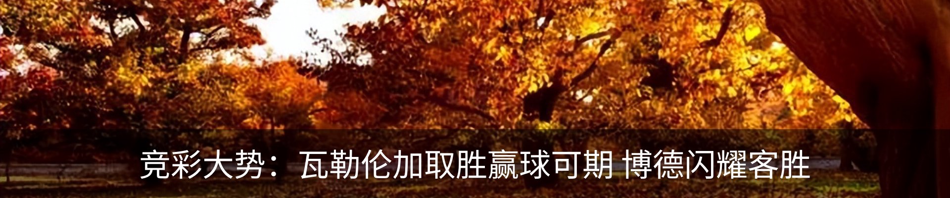 内页banner