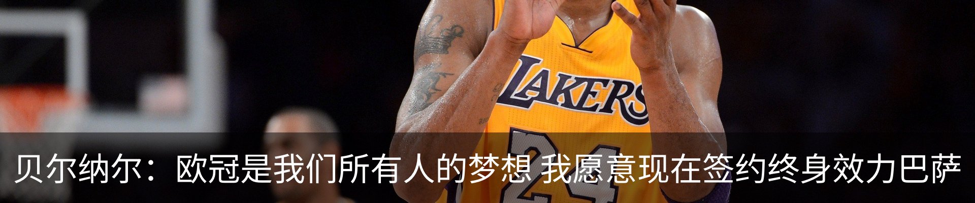 内页banner