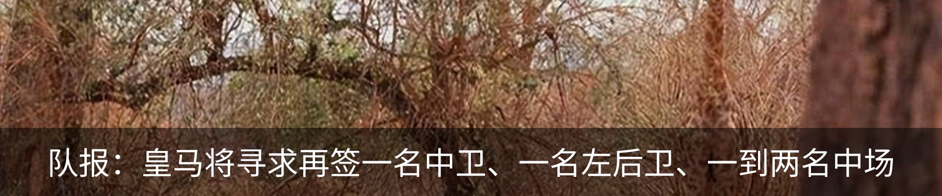 内页banner